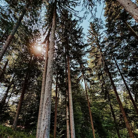 Black Pohorje - Luxury Retreat *