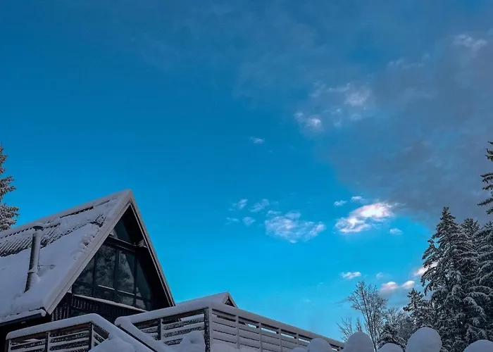 Black Pohorje - Luxury Retreat Hočko Pohorje