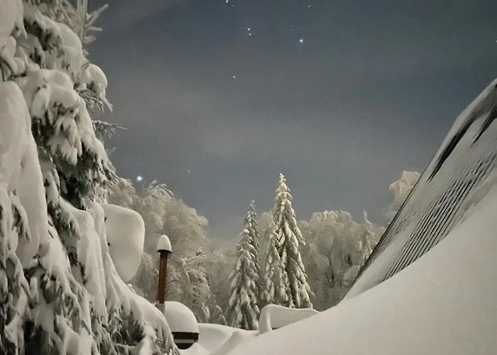 Black Pohorje - Luxury Retreat *