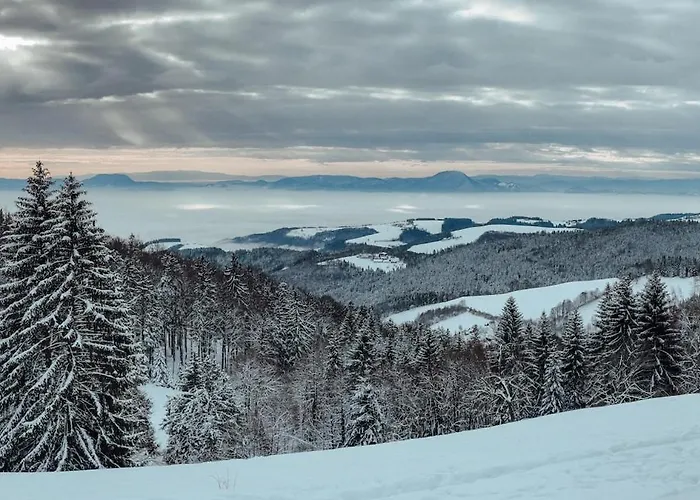 Black Pohorje - Luxury Retreat * Hočko Pohorje